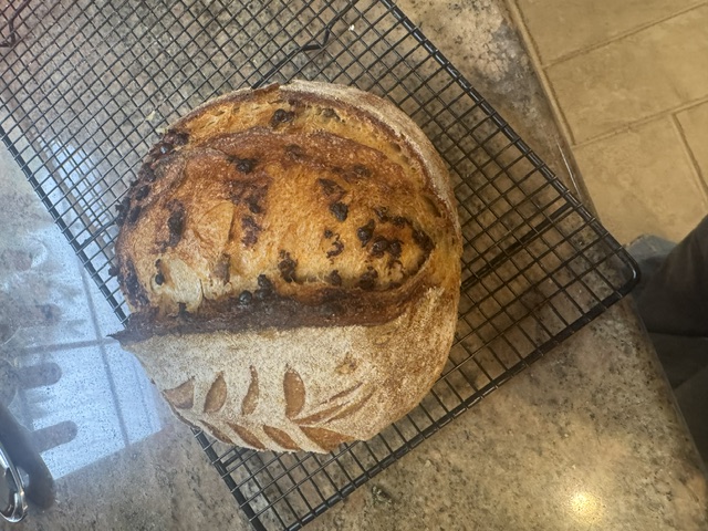Chocolate Chip