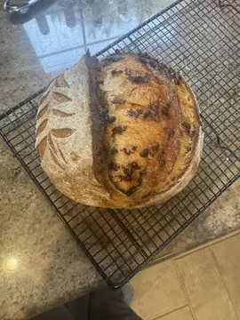 Chocolate Chip