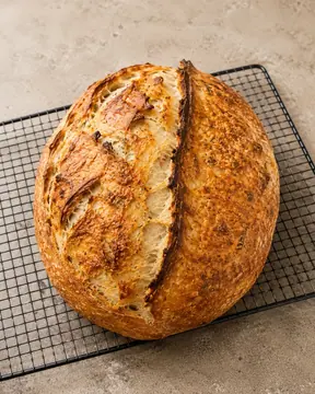 Roasted Garlic Italian Herb and Cheese